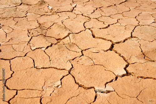Details of the ground The cracks in the soil. Due to the lack of moisture in the soil, the characteristics of the dehydrated clay are separated. Drought On the conservation of soil and water.
