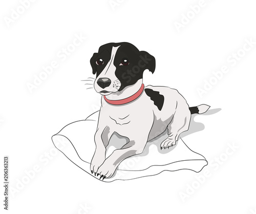 dog lies on the floor, vector