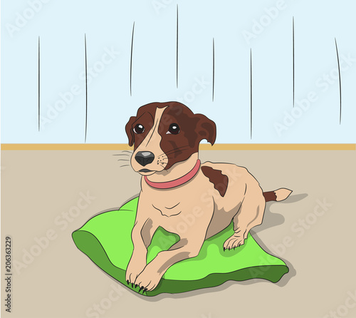 dog lies on pillow, vector,