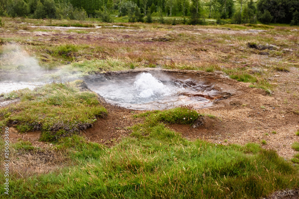 Fototapeta premium Geysir eruption geothermal area, europe, Iceland