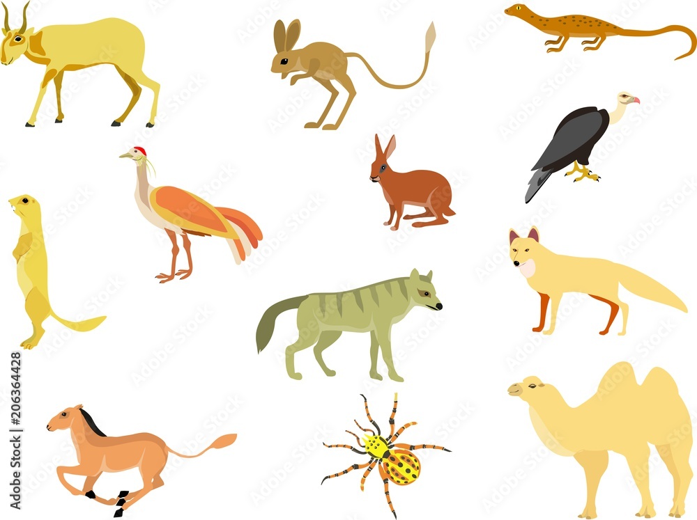 Wild desert animals's vector set isolated on white illustration, camel, rodents, antilope, hyenah, spider
