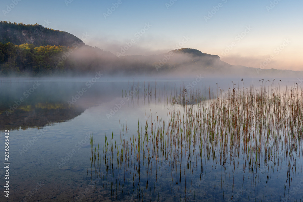 French landscape - Jura. View over the lake of Ilay in the Jura mountains (France) at sunrise with reeds in the foreground.