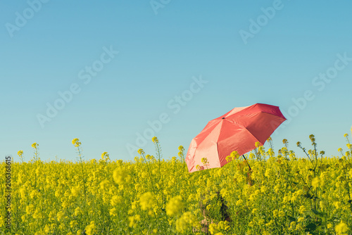 Naked young female with red umbrella in the field with yellow flowers on a sunny summer day