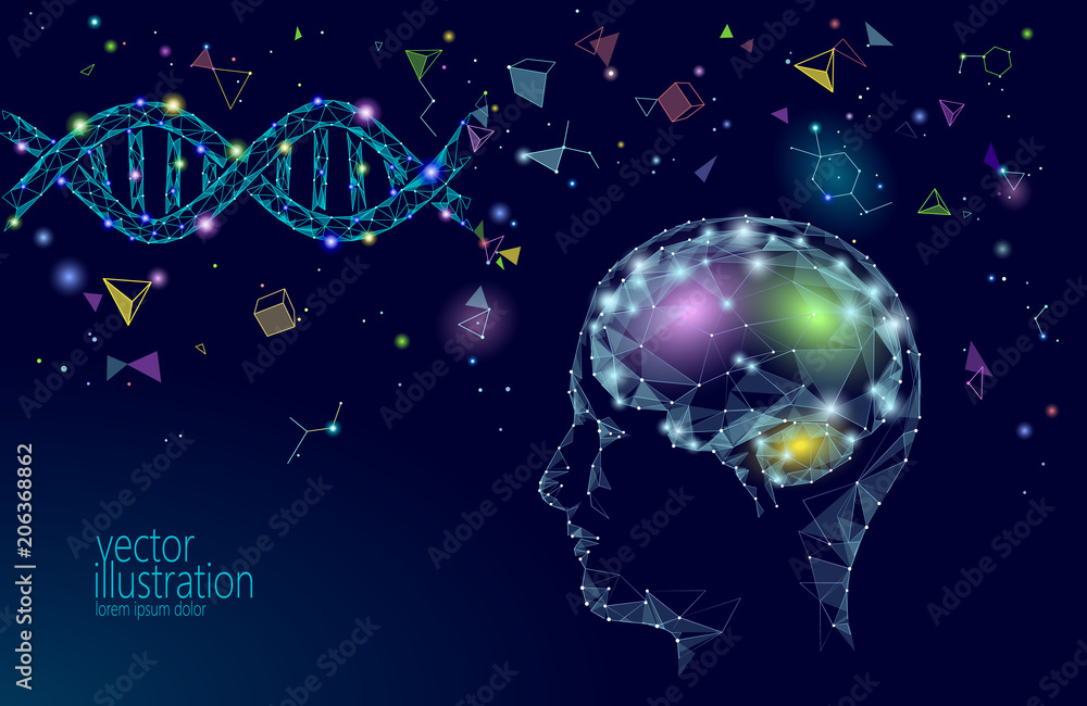 Human brain IQ smart business concept. E-learning nootropic drug supplement DNA medicine neuroscience braingpower. Brainstorm creative idea project work low poly polygonal vector illustration Human brain IQ smart business concept. E-learning nootropic drug supplement DNA medicine neuroscience braingpower. Brainstorm creative idea project work low poly polygonal vector illustration