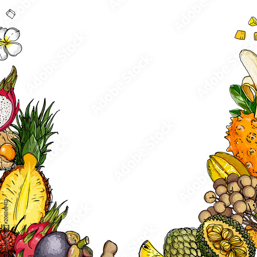 Fruits drawn by a line on a white background