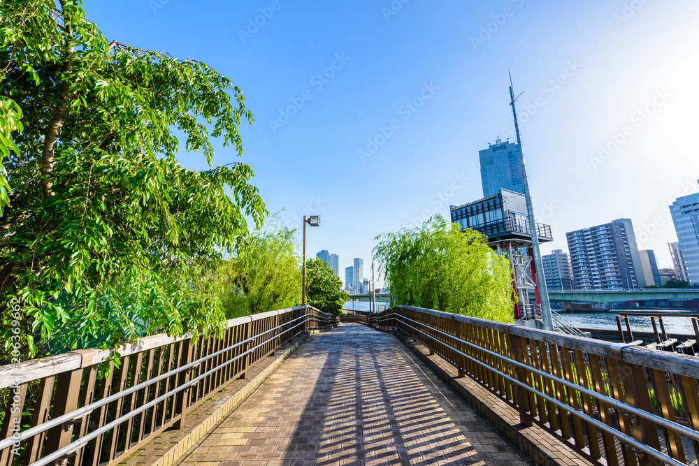 Fototapeta premium 佃公園