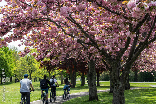 Bicycling in the Park