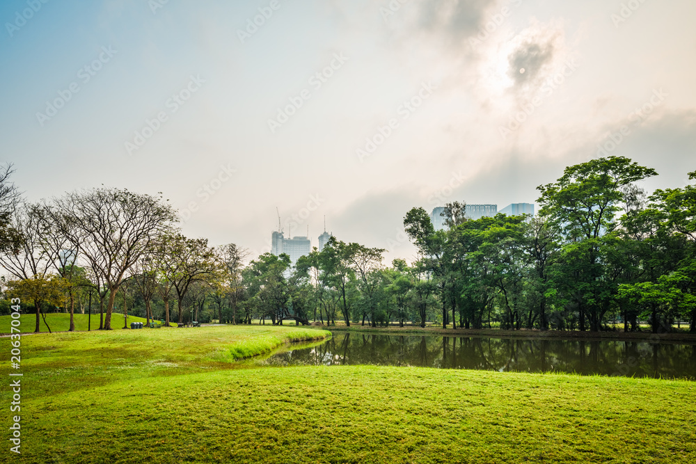 Obraz premium Green grass field with lake in Public Park