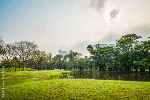Green grass field with lake in Public Park