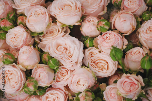 Pink Beautiful Roses Bouquet Texture. Top view Copy Space. Vintage Greeting Card