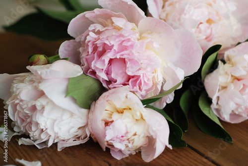 Pink Peoniess Spring summer bouquet Flat Lay Wooden Background Copy space. Beautiful Pik Fresh Flowers. © Inga