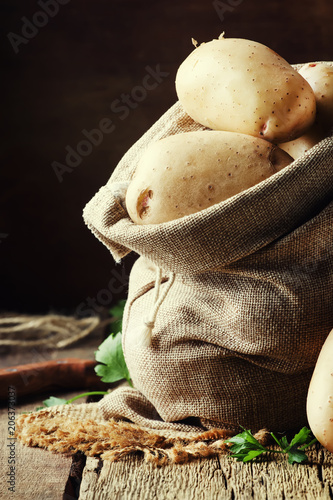 Fresh raw potatoes in a canvas bag, wooden background, rustic style, selective focus
