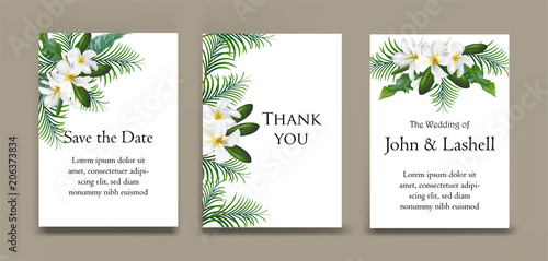 Cards with plumeria and palm leaves on card photo