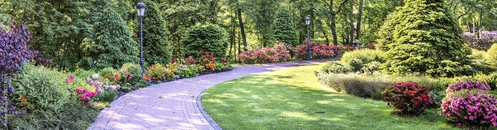 Fototapeta premium Panorama of the flower alley in Mezhigirya Park near Kiev