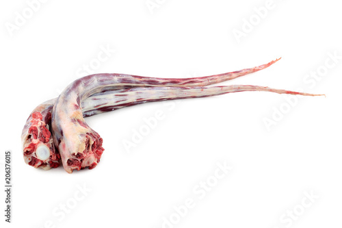 Raw beef oxtail isolated on a white background