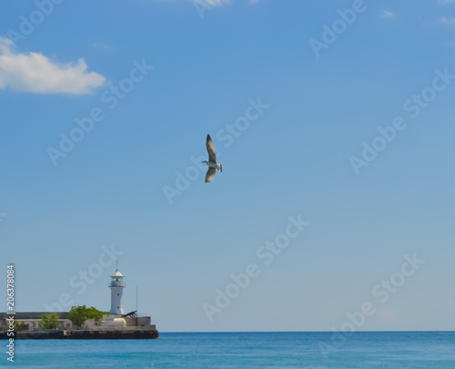 Seagull flies along the horizon towards the lighthouse around the blue calm sea