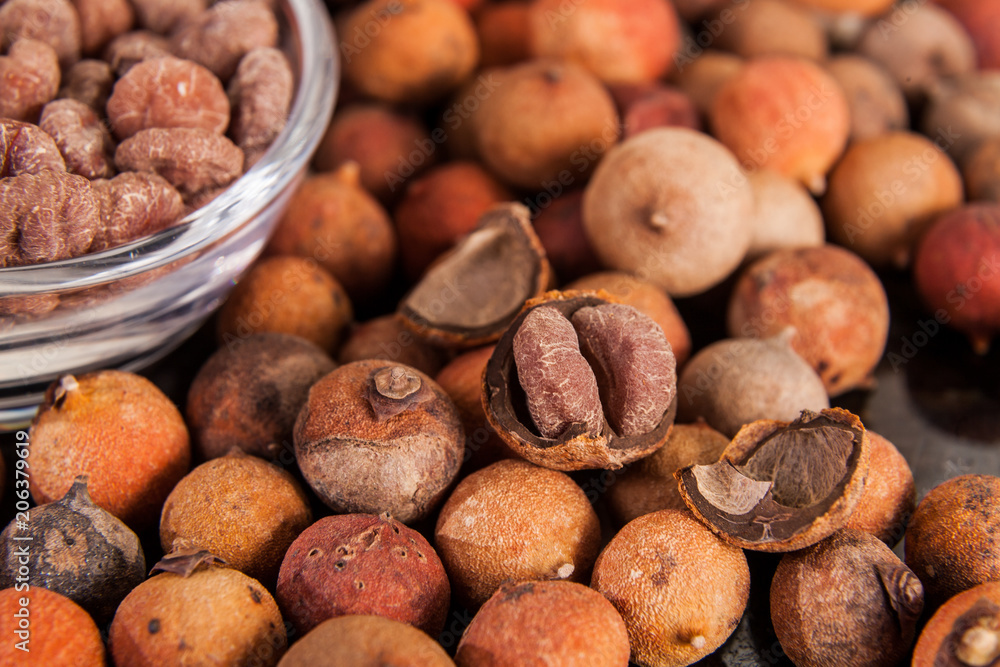 Corozo tropical fruit - Bactris guineensis Corozo tropical fruit - Bactris guineensis