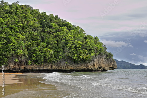 Jungle covered rocky headland-south end of Sugar Beach. Sipalay-Philippines. 0471