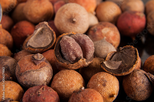 Corozo tropical fruit - Bactris guineensis photo