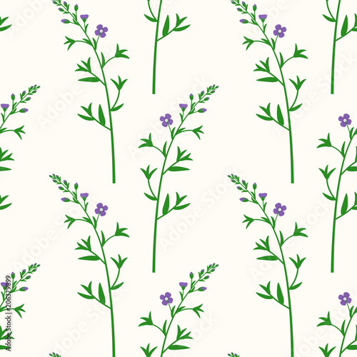 Wildflowers. Botanical seamless pattern with branches of the field flower.