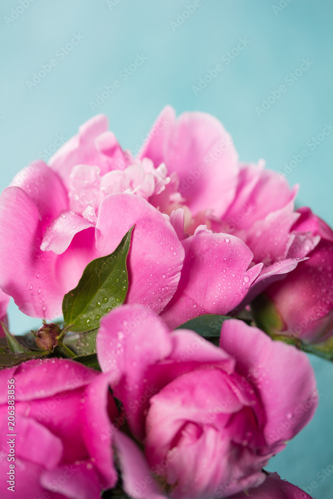 bouquet of peonies bouquet of peonies