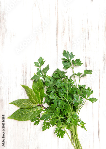 Parsley and bay laurel leaves. Fresh organic herbs. Healthy food