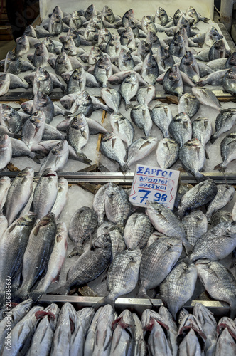 Fish display found on the fish market in Athens, Greece