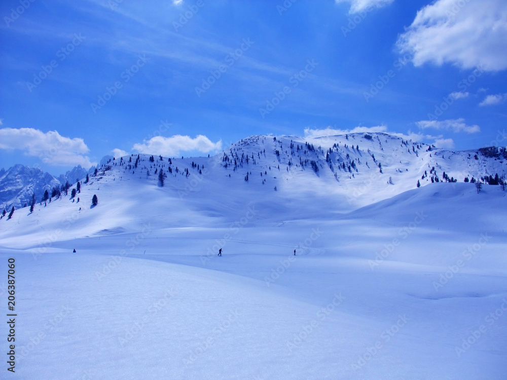 Langlauf Skiwandern einsam Schnee Schneelandschaft Südtirol