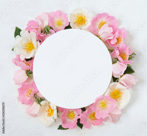 Decorative frame with pink bright roses and leaves on white background. Flat lay