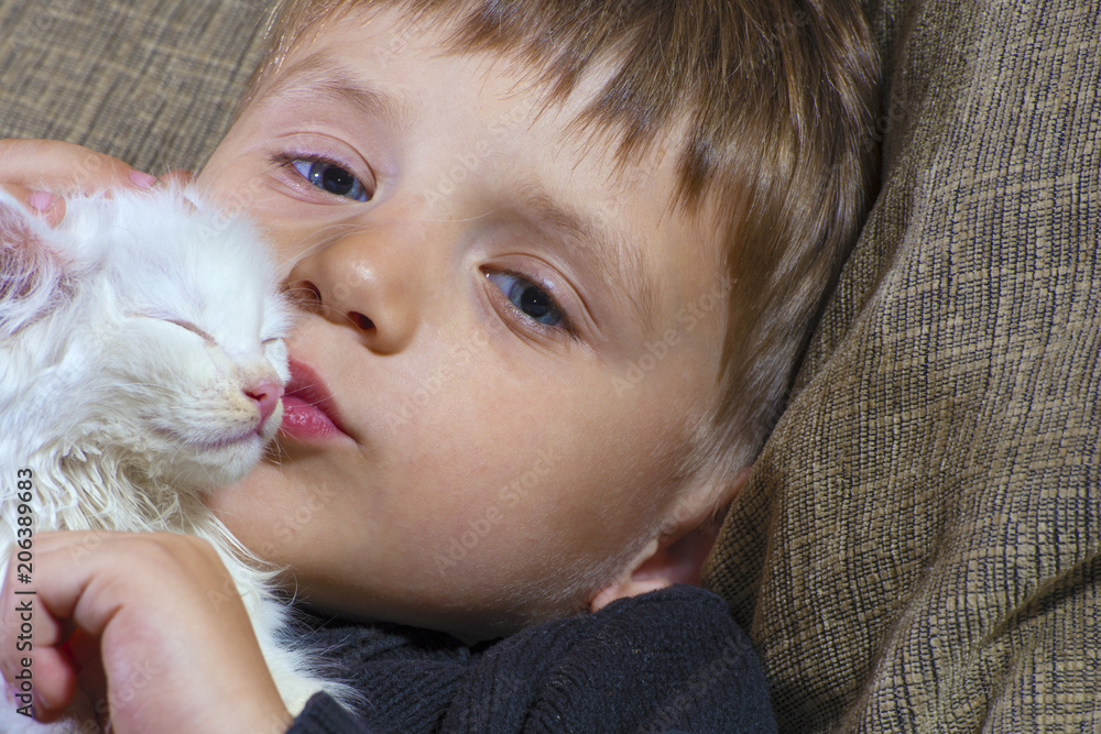 Little boy kissing a white fluffy cat on the couch Little boy kissing a white fluffy cat on the couch