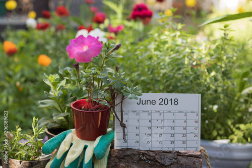 Calendar of the month June 2018 with lunar days is in a summer garden among flowers, pots, garden tools and new plants from a garden center. Concept: gardening.