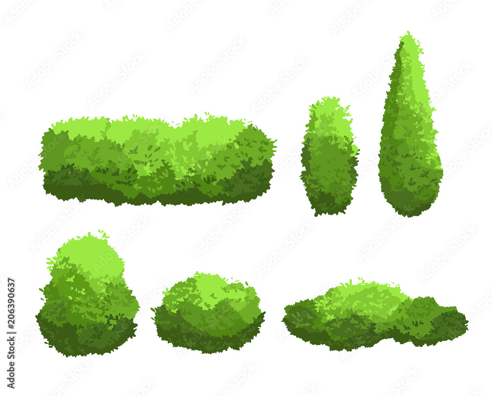 Vector illustration set of garden green bushes and decorative trees  different shapes. Shrub and bush collection in cartoon style isolated on  white background. vector de Stock | Adobe Stock