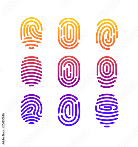 Vector illustration of different shape fingerprint collection with color gradient in line style on white background. photo