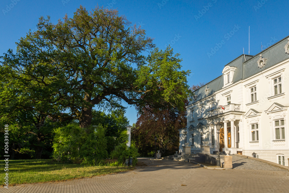 Palace in Teresin, Mazowieckie, Poland
