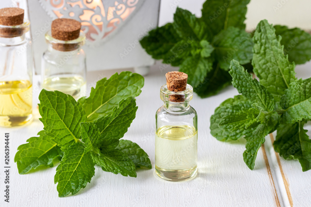 A bottle of essential oil with fresh peppermint twigs A bottle of essential oil with fresh peppermint twigs