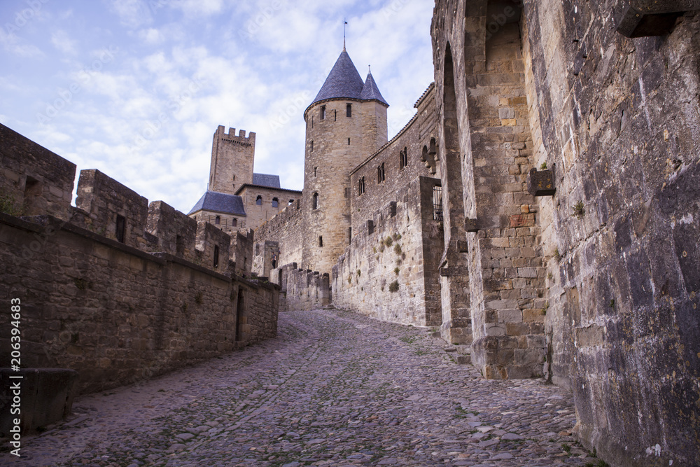 castillo carcasona francia