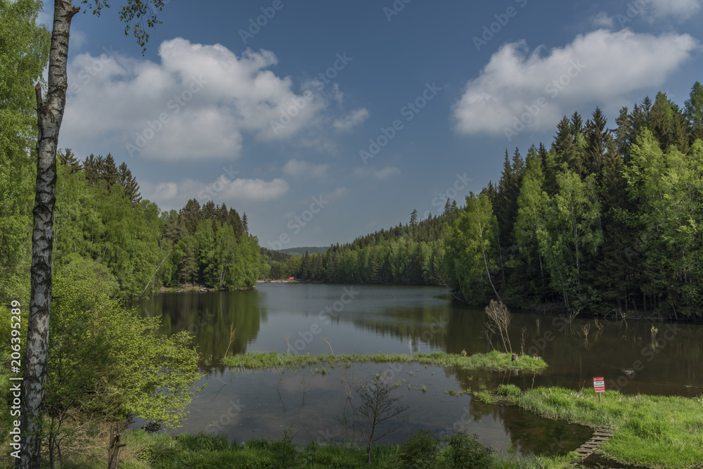 Reservoir Bily Halstrov in spring morning Reservoir Bily Halstrov in spring morning