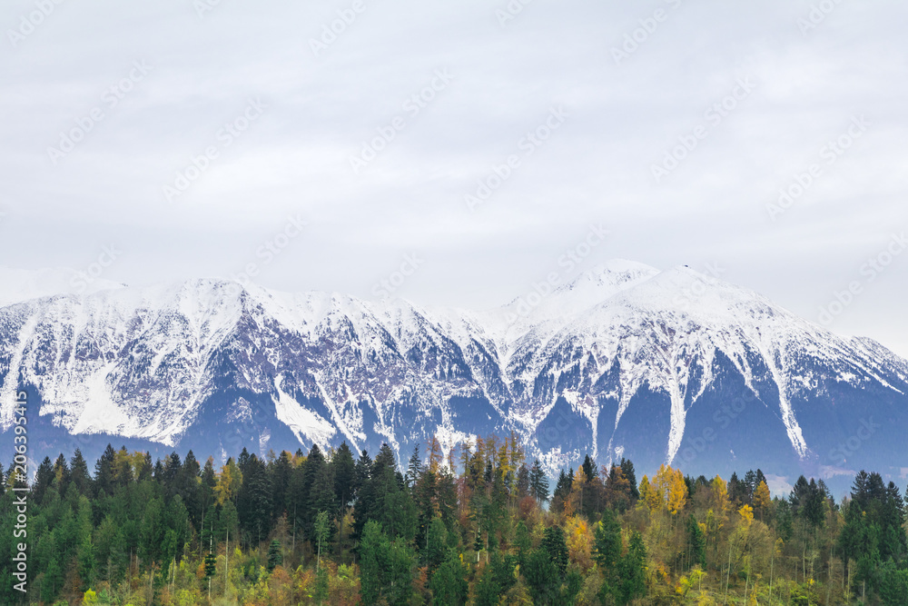View of snowy mountains in the background and green forest in the foreground during a moody day, Bled Lake, Slovenia