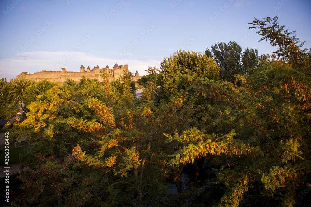 flores y castillo