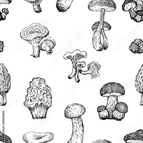Pattern of the drawn edible mushrooms