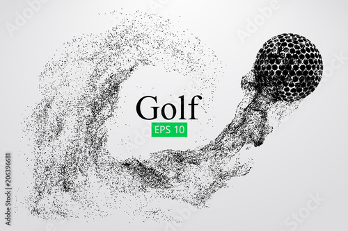 Silhouette of a golf ball. Vector illustration