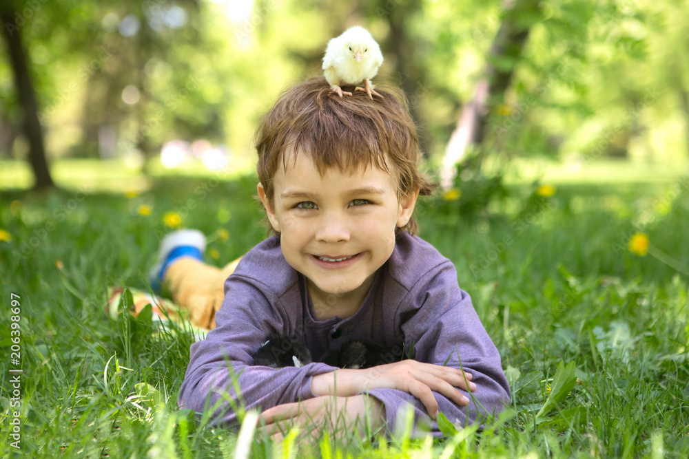 The child with chicks on the bright grass in a sunny summer day.
The child with chicks on the bright grass in a sunny summer day.