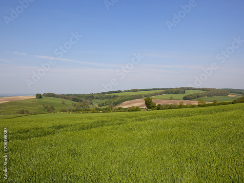 Yorkshire Wolds Spring crops