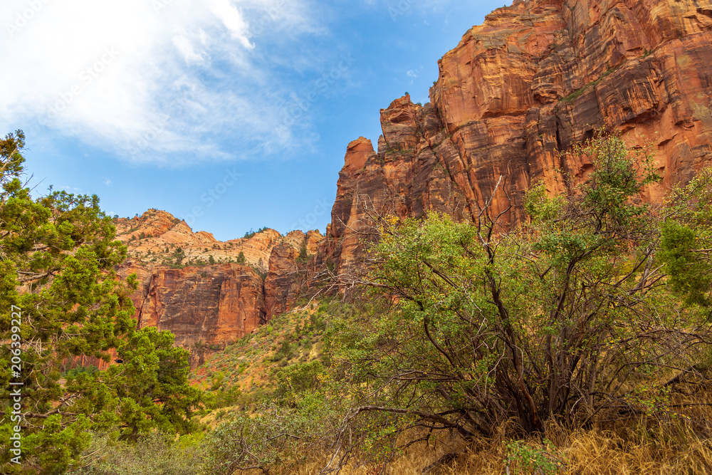 Beautiful scenery in Zion National Park, Utah.