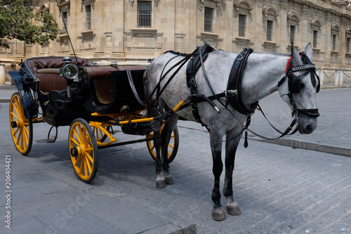 Kutsche von der Kathedrale in Sevilla, Spanien © Martin Schütz