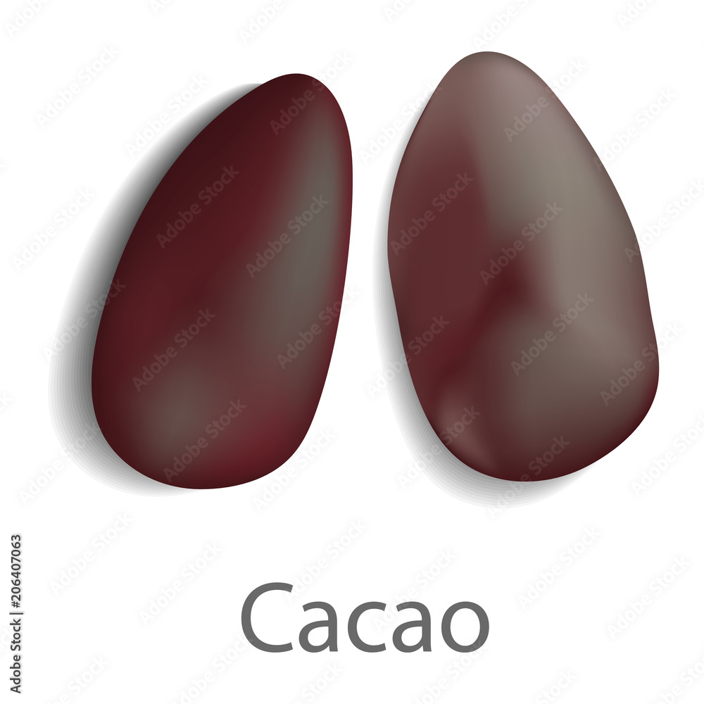 Cacao mockup. Realistic illustration of cacao vector mockup for web design isolated on white background Cacao mockup. Realistic illustration of cacao vector mockup for web design isolated on white background