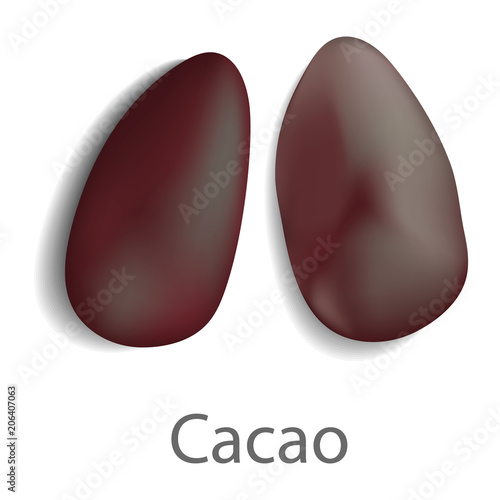 Cacao mockup. Realistic illustration of cacao vector mockup for web design isolated on white background
