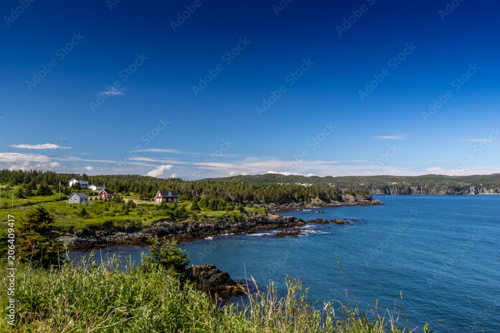 Newfoundland coastal landscape