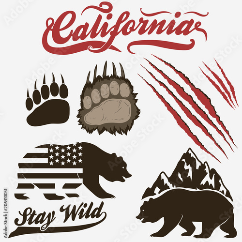Bear, footprint with claw scratches vector