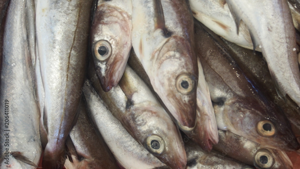 Frische Atlantische Sardinen auf dem Fischmarkt Frische Atlantische Sardinen auf dem Fischmarkt